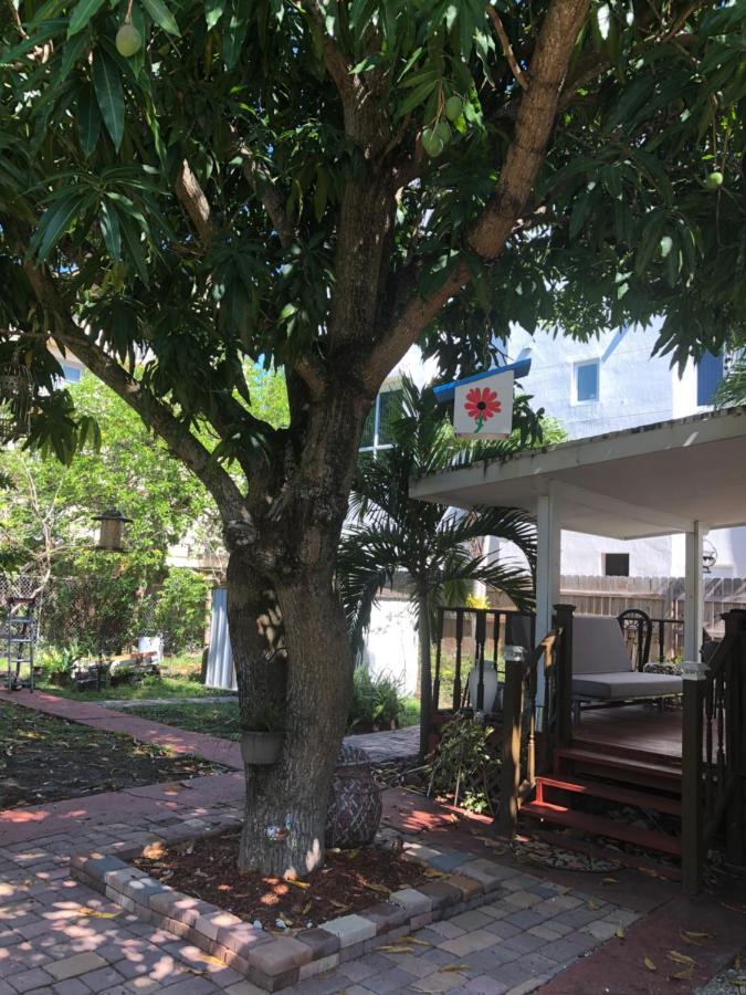 Private Room In The Heart Of Calle Ocho 迈阿密 外观 照片
