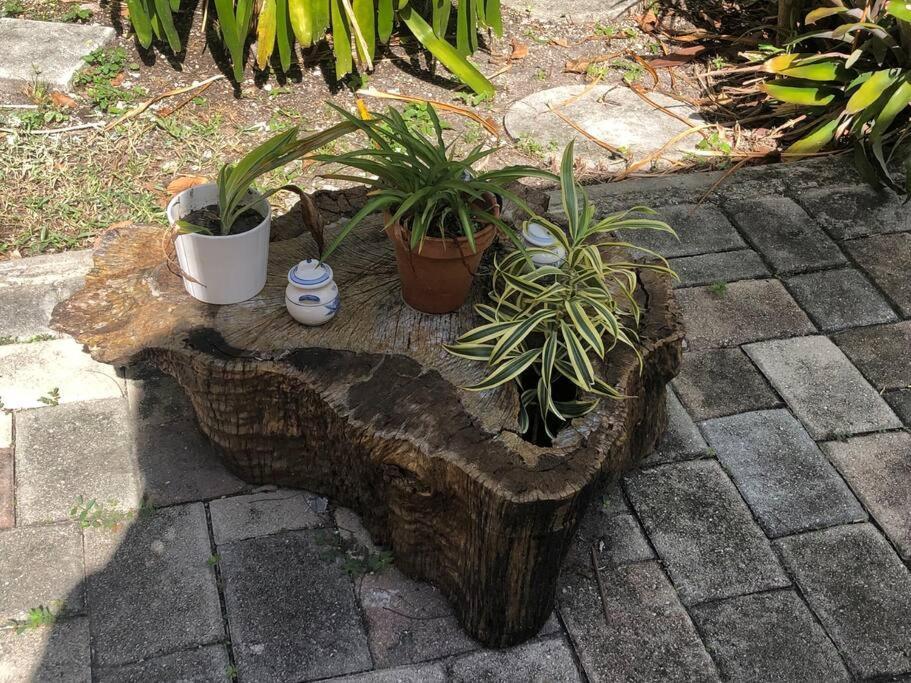 Private Room In The Heart Of Calle Ocho 迈阿密 外观 照片